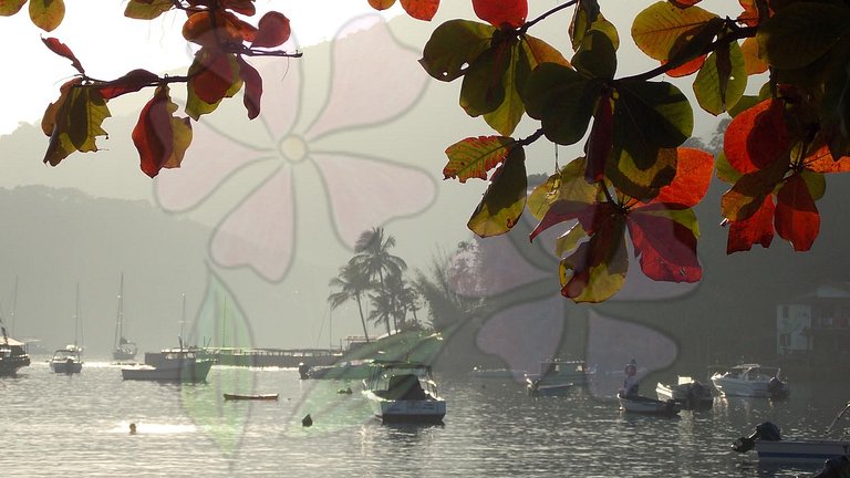 Quarto duplo com vista para o jardim