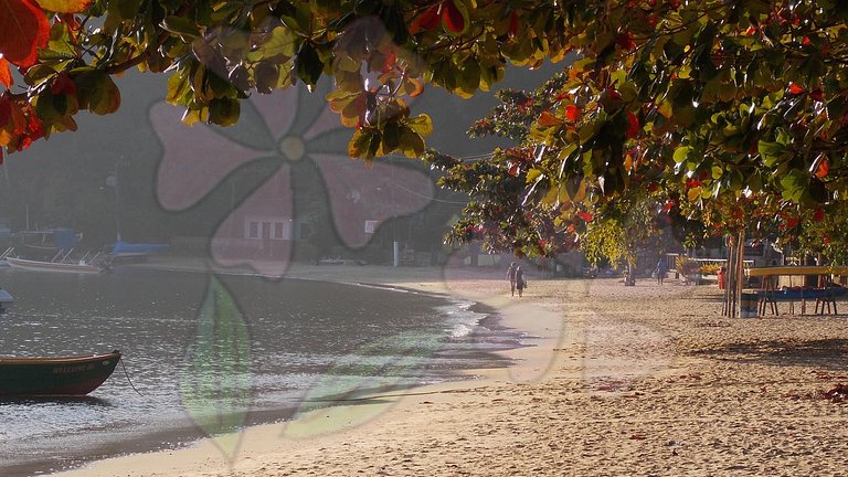 Quarto duplo com vista para o jardim